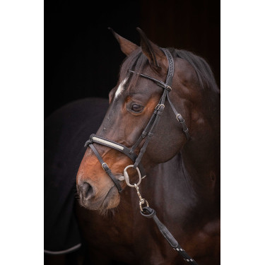 Bridão Pénélope Symphonie Preto