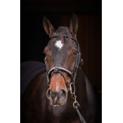 Bridão Pénélope Symphonie Preto