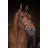 Bridão Pénélope Symphonie Havana Castanho