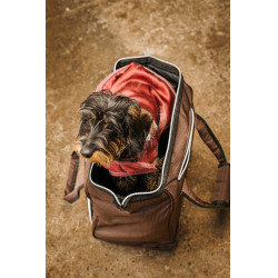 Saco de limpeza com rodas Equithème Castanho