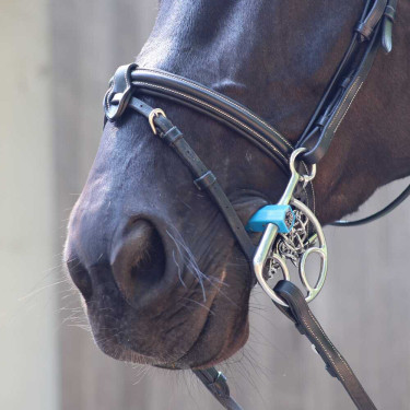 Mordedor espanhol Metalab Flexi reto Azul