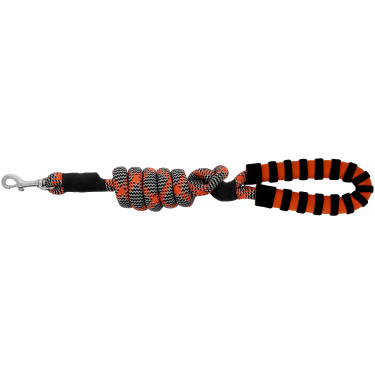 Correia para cão com pega EQUITHÈME - Haspen Preto / cabo laranja