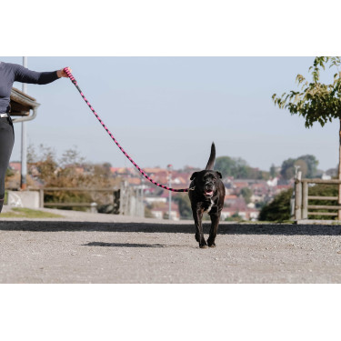 Correia para cão com pega EQUITHÈME - Haspen Preto / alça framboesa