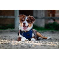 Arnês para cães RIDING WORLD - Simba Marinho Azul-marinho