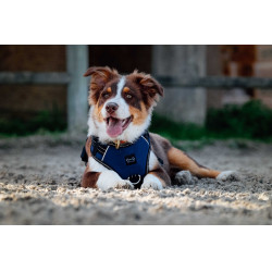 Arnês para cães RIDING WORLD - Simba Marinho Azul-marinho