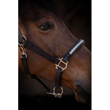 Caveção Pénélope Harmonie Preto