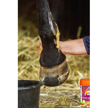 Gel refrigerante Equinatura