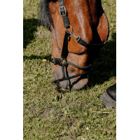 Caveção Norton Educativo Preto