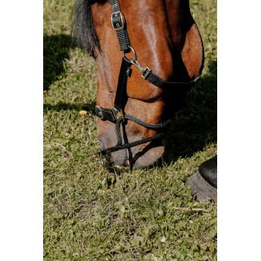 Caveção Norton Educativo Preto Caveção Norton Educativo Preto