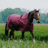 Cobertura Equithème TYREX 1200D High Neck Bordéus Bord&amp;ocirc;