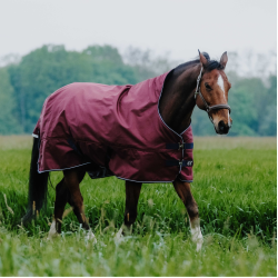 Cobertura Equithème TYREX 1200D High Neck Bordéus Bordô Cobertura Equithème TYREX 1200D High Neck Bordéus Bordô