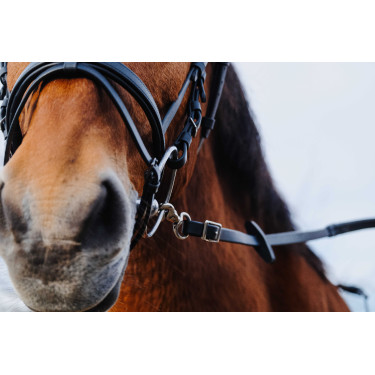 Rédias de borracha Norton Training PVC Preto