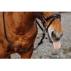 Rédias de borracha Norton Training PVC Preto