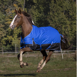 Capa Equithème Tyrex Aisance 1200D Azul royal Capa Equithème Tyrex Aisance 1200D Azul royal