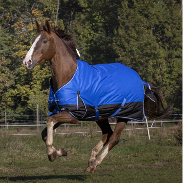 Capa Equithème Tyrex Aisance 1200D Azul royal Capa Equithème Tyrex Aisance 1200D Azul royal