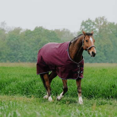 Capa Equithème Tyrex 1200D Bordéus Bordô Capa Equithème Tyrex 1200D Bordéus Bordô