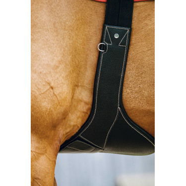 Cinta peitoral Magnet Norton Preto