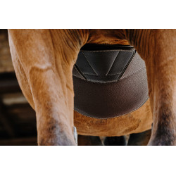 Cinta peitoral Magnet Norton Havana Castanho