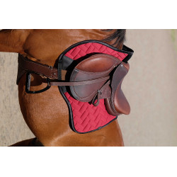 Cinta peitoral Magnet Norton Havana Castanho