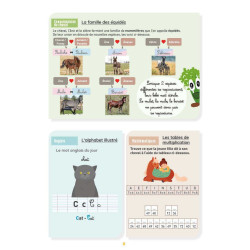 Meu Caderno de Atividades Nível CM2 Lavauzelle