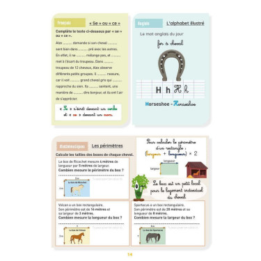 Meu Caderno de Atividades Nível CM2 Lavauzelle