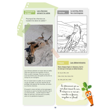 Meu Caderno de Atividades Nível CE1 Lavauzelle Meu Caderno de Atividades Nível CE1 Lavauzelle