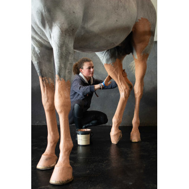 Argila rosa Pénélope Terra Clay