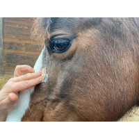 Creme Animaderm Derfen™ Clear