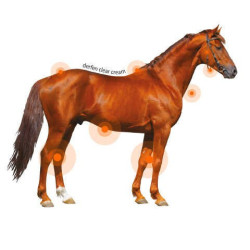 Creme Animaderm Derfen™ Clear