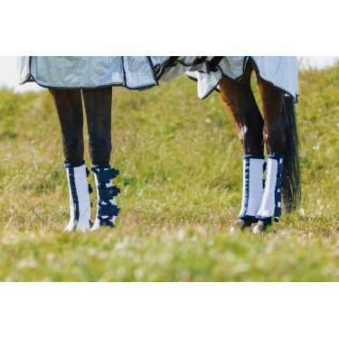 Polainas anti-moscas Riding World em conjunto de 4 Branco