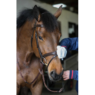 Luvas de limpeza Belvoir® Carr & Day & Martin Tack Cleaner Branco