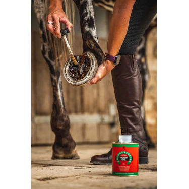 Óleo para cascos Carr & Day & Martin Tea Tree