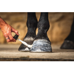 Óleo para cascos Carr & Day & Martin Daily Hoof Moisturiser Cornucrescine