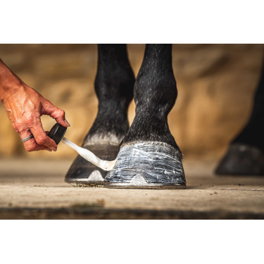 Óleo para cascos Carr & Day & Martin Daily Hoof Moisturiser Cornucrescine