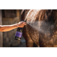 Lustrador Carr & Day & Martin Dreamcoat