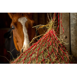 Rede de feno Hippotonic Zari Vermelho / prateado