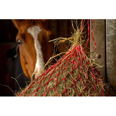 Rede de feno Hippotonic Zari Vermelho / prateado