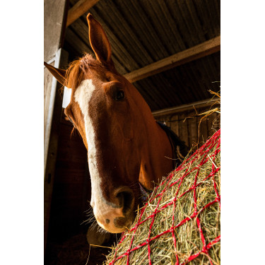 Rede de feno Hippotonic Zari Vermelho / prateado