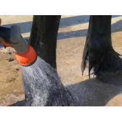 Shampoo Animaderm Tea Tree