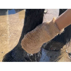 Shampoo Animaderm Tea Tree