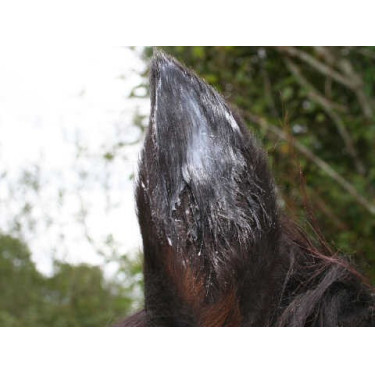 Baume Animaderm Natjely