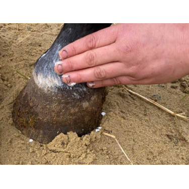 Baume Animaderm Natjely