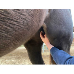 Baume Animaderm Natjely