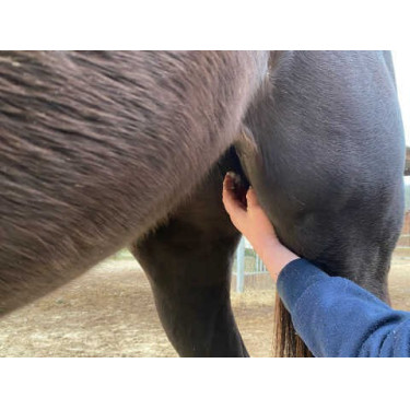 Baume Animaderm Natjely