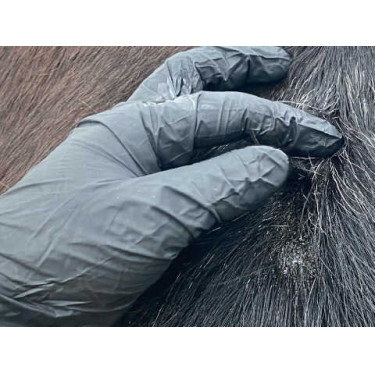 Loção Animaderm Original