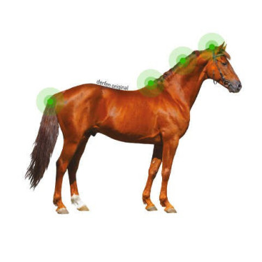 Loção Animaderm Original