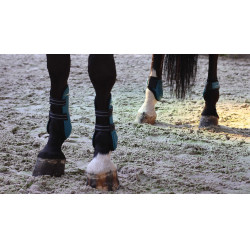 Guizos com proteção para boleto Lami-Cell Elite Turquesa Azul