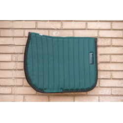 Tapetes Verticais Paddock Sports Verde escuro / preto