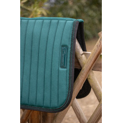 Tapetes Verticais Paddock Sports Verde escuro / preto