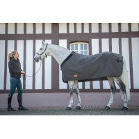 Cobertor Wooltouch Paddock Sports Cinza mesclado Cinzento